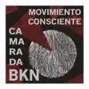 Demenzia Lirika - Movimiento Consciente (Camarada BKN)